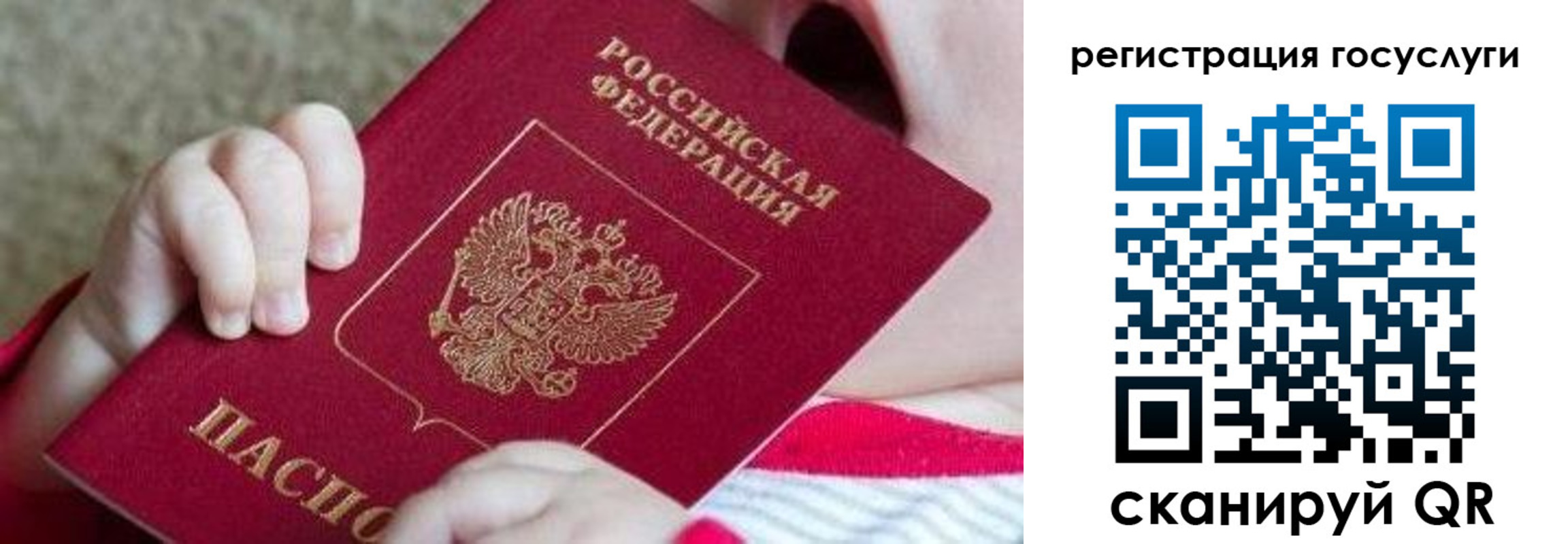временная регистрация для всех в Владимирской области